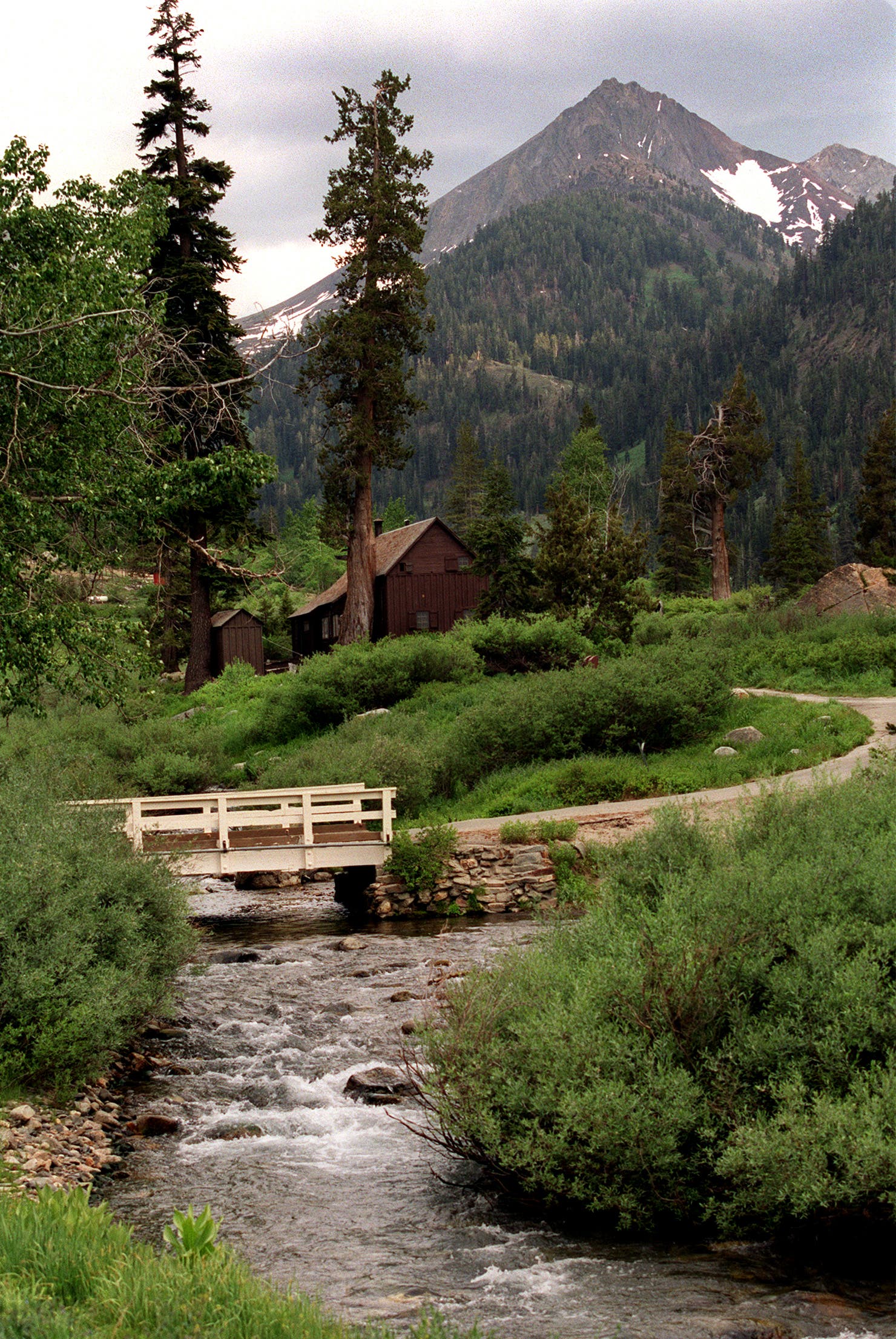 Mineral King cabin