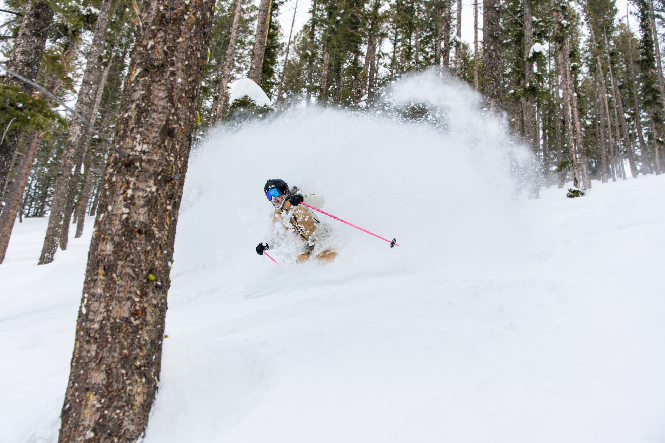 Sun Valley powder