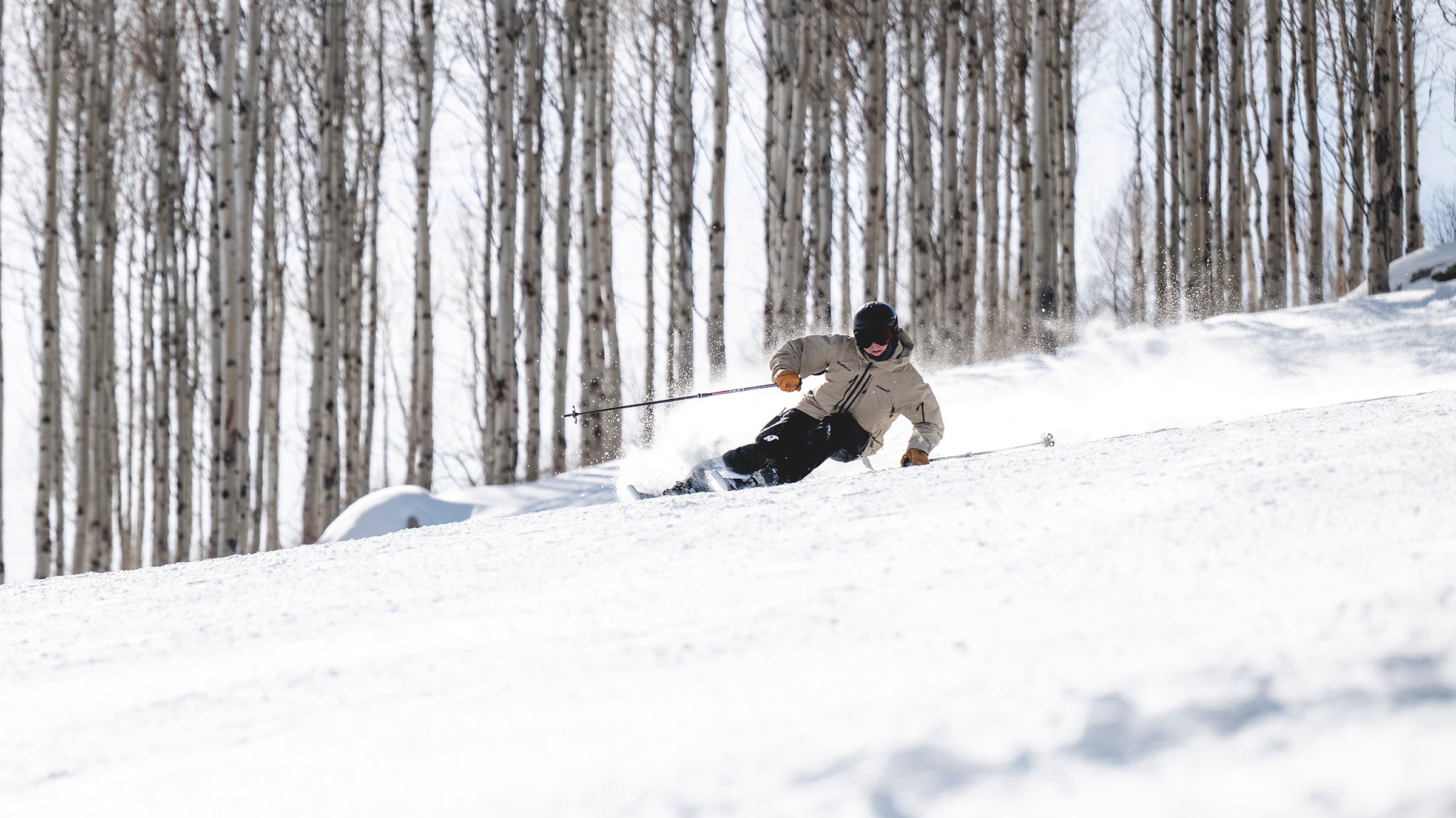 The Best Carving Skis of 2027, Tested and Reviewed