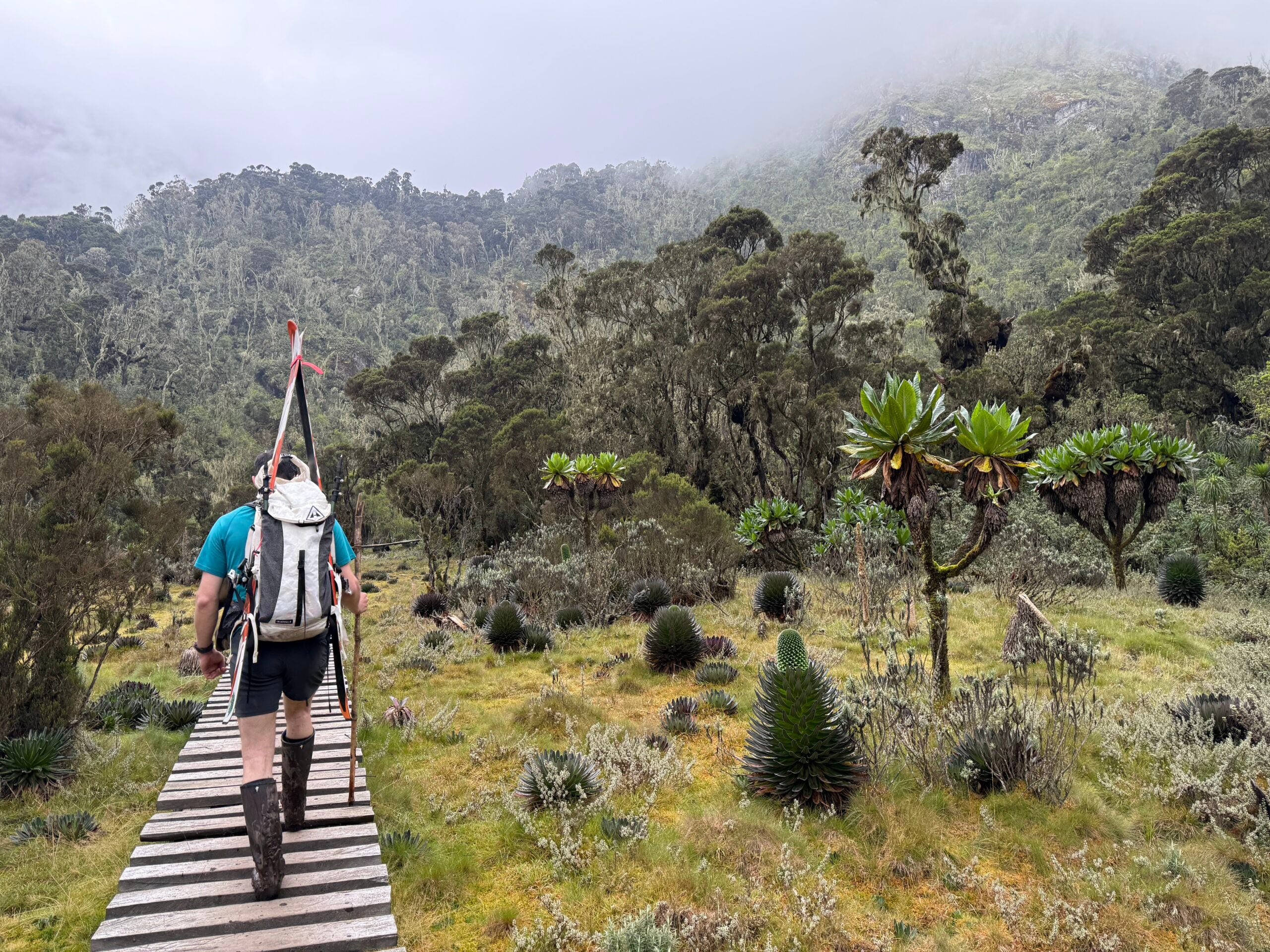 The Race to Ski—and Save—Africa’s Last Equatorial Powder