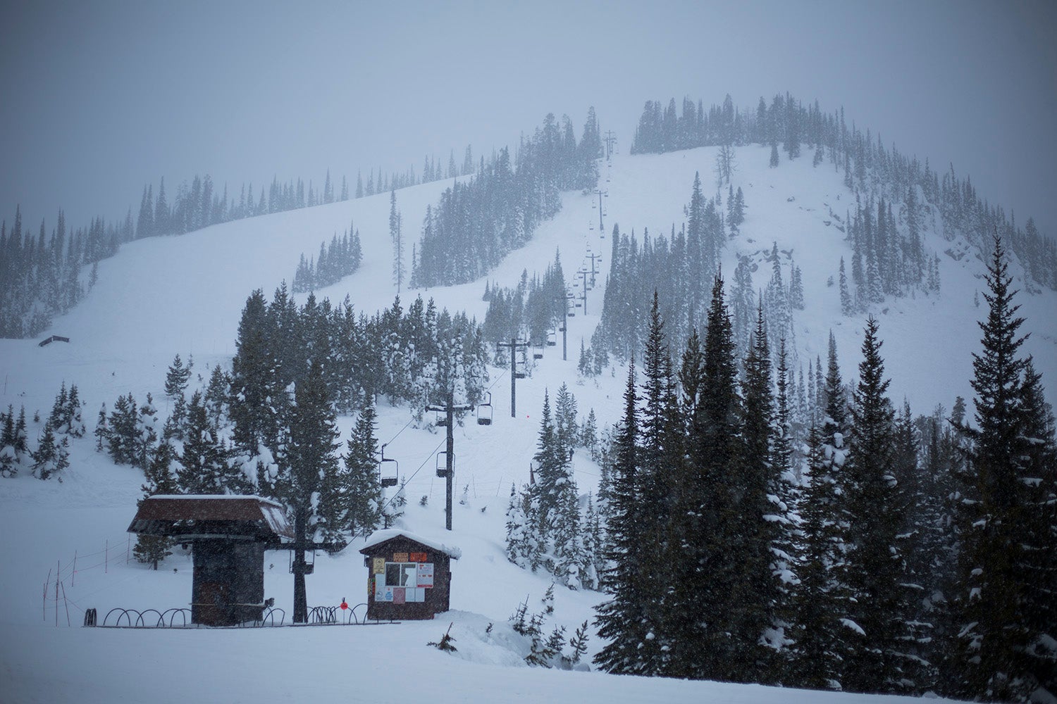 Calling All Purists: These 5 Ski Areas Rely on 100 Percent Natural Snow.