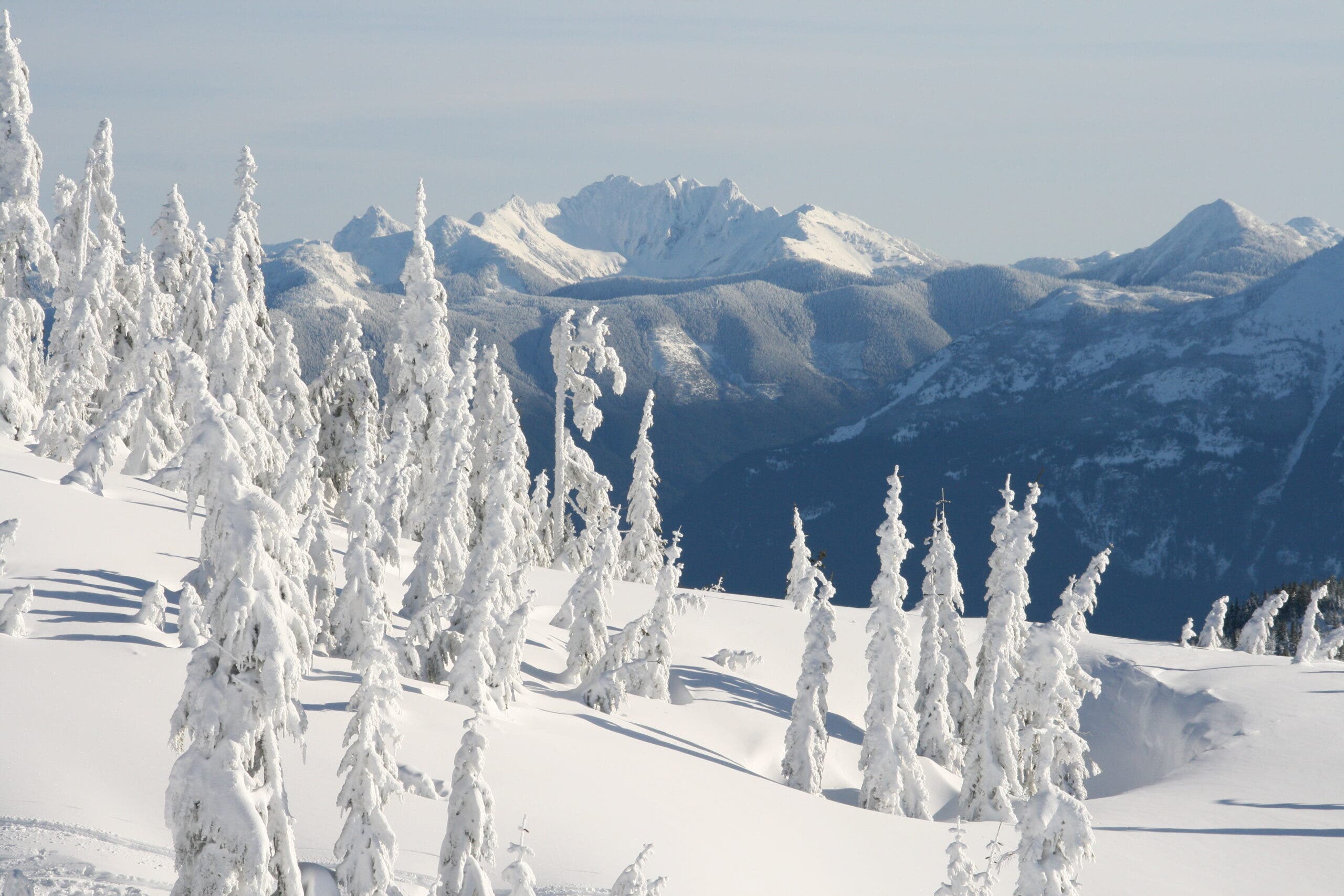 Open space at Sasquatch Mountain Resort