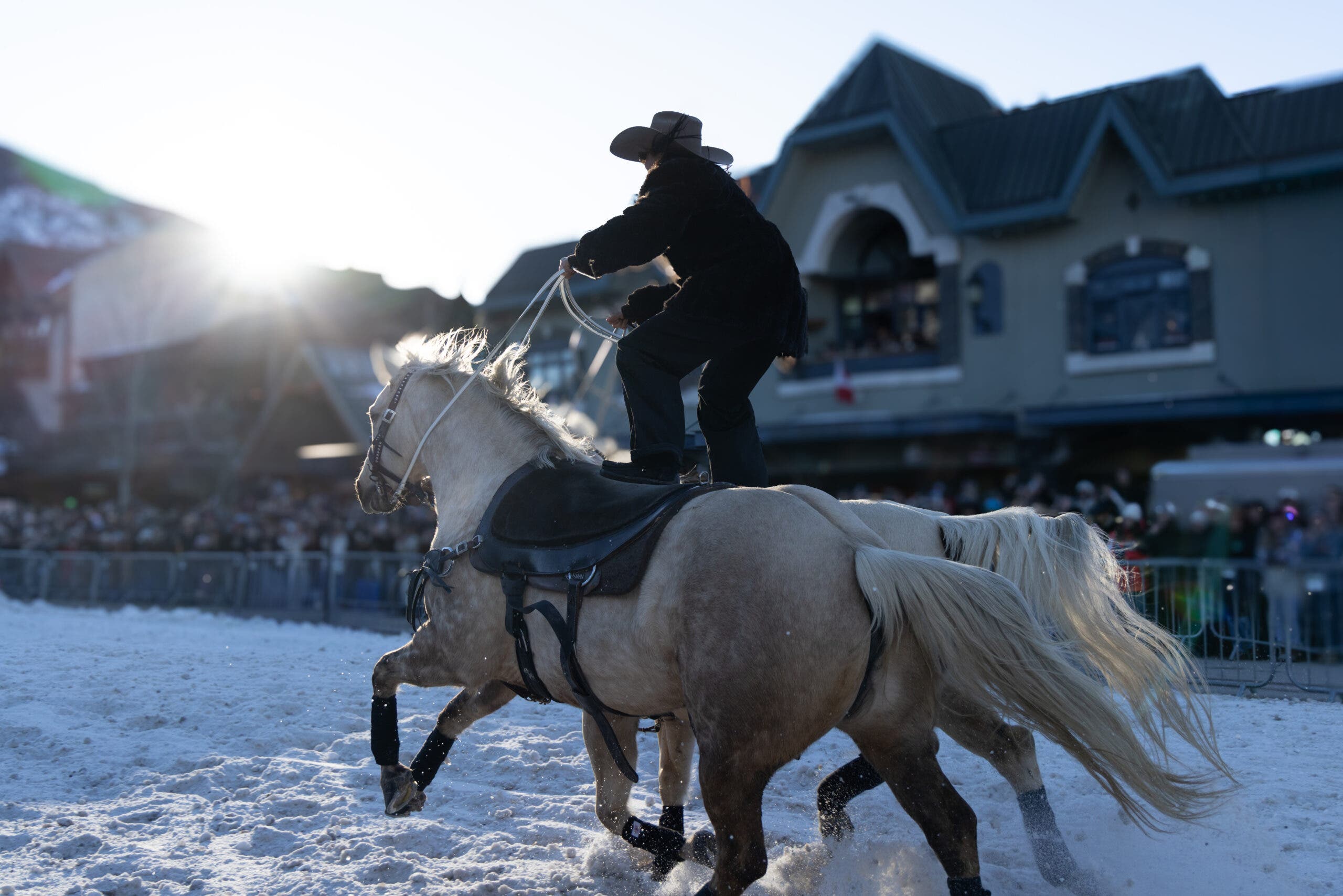 Think Skiing Is Hard? How About Adding Some Horsepower. We Sat Down With Skijor Canada's Founder to Learn More About This Epic Sport.