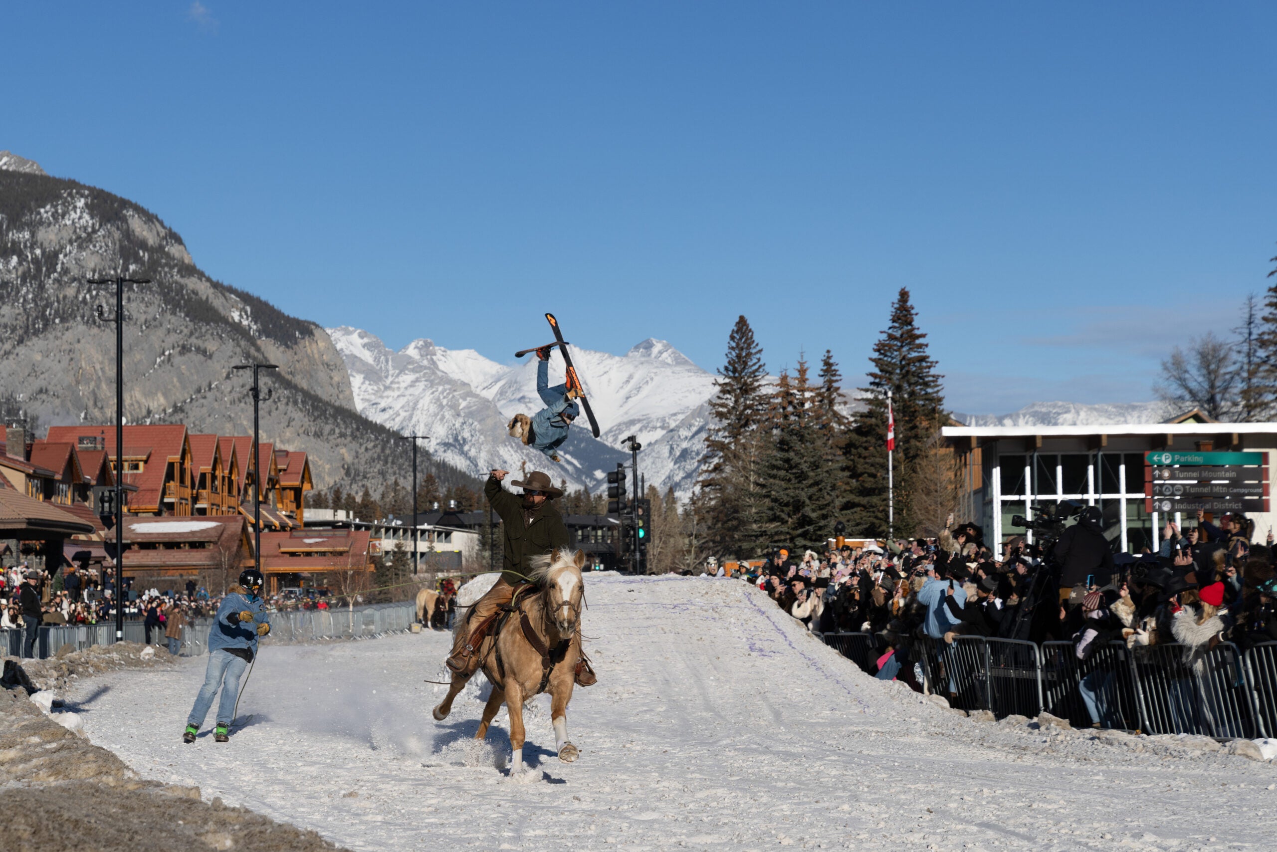 Think Skiing Is Hard? How About Adding Some Horsepower. We Sat Down With Skijor Canada's Founder to Learn More About This Epic Sport.